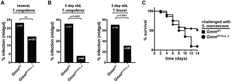 Fig 6