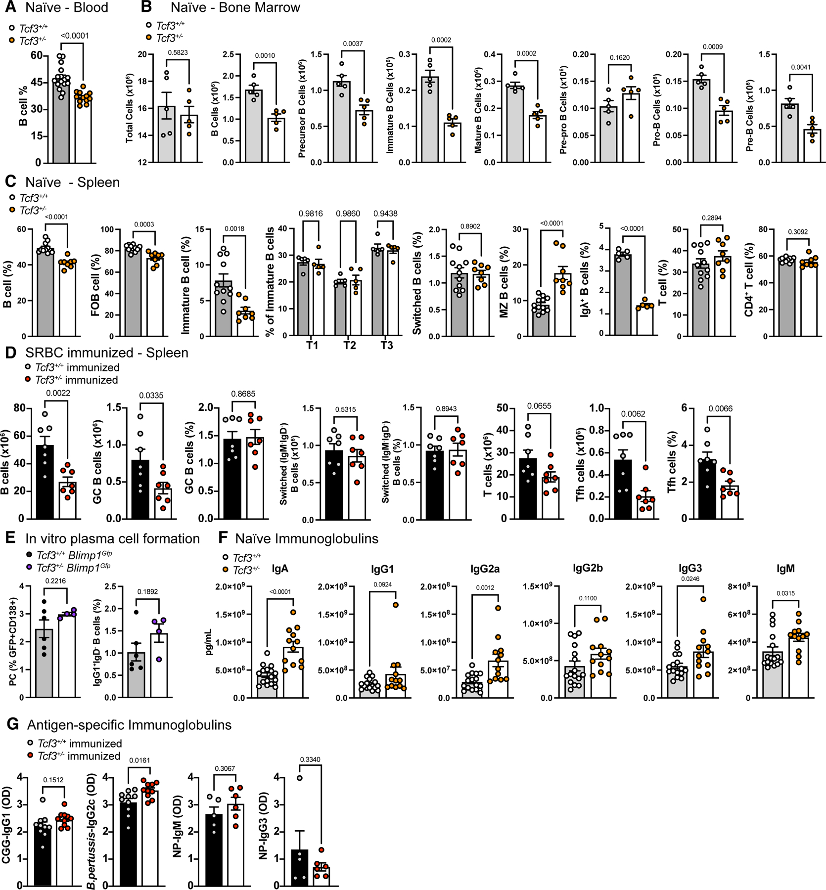 Figure 5: