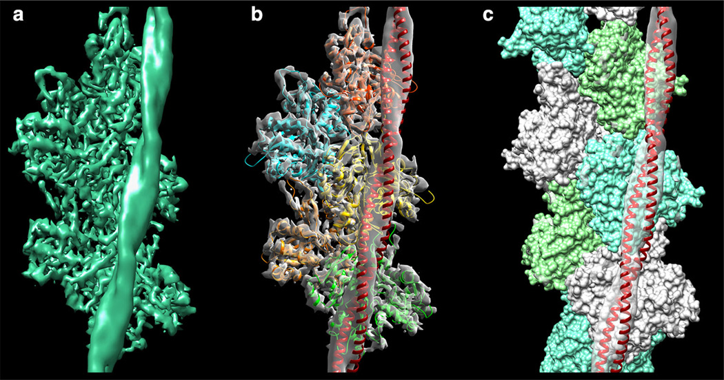 Fig. 4