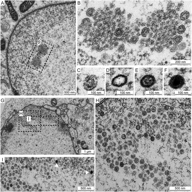 FIG 10