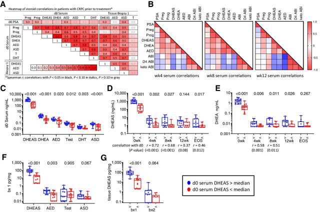 Figure 3. Correlation of steroid levels in serum and metastatic tissue before and after treatment with AA plus prednisone. A, Heatmap of steroid correlations in pretreatment serum (day 0) and metastatic tissue biopsies (Biopsy 1). The Spearman r value for each correlation is shown in the box. Correlations with P < 0.05 in black, P < 0.10 in italics, P > 0.10 in gray. B, Heatmap of Spearman correlations for steroids in serum at week 4 (wk4), week 8 (wk8), and week 12 (wk12). C, Comparison of baseline serum steroid levels stratified by serum DHEAS levels above (blue) versus below (red) the median at baseline (d0). D and E, Comparison of DHEAS levels (D) and DHEA levels (E) in serum stratified by baseline serum DHEAS levels at baseline (0 weeks); at 4, 8, and 12 weeks; and at EOS. Significant Spearmen correlations between on-treatment and baseline values at each time point is indicated below the timepoint. F, Comparison of steroid levels in pretreatment tissue biopsies (bx 1) stratified by serum DHEAS levels above (blue) vs. below (red) the median at baseline. G, Comparison of tissue (tx) DHEAS levels stratified by baseline serum DHEAS levels in pretreatment and on-treatment tissue biopsies (bx1 and bx2). P values for the indicated comparison calculated via nonparametric Mann–Whitney t tests. ABI, abiraterone; D4 ABI, D4-abiraterone; Keto ABI, 3-keto-5α-abiraterone; Preg, pregnenolone; Prog, progesterone; Test, testosterone.