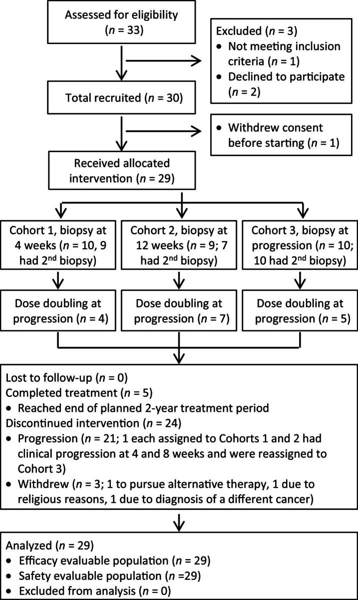 Figure 1. Flow diagram of patient recruitment, enrollment, and participation. Diagram depicts participant flow through the study process from patient screening to data analysis.