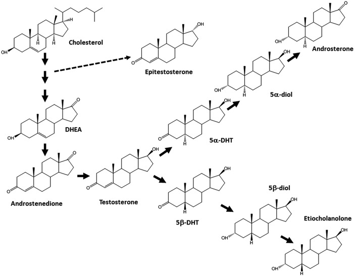 Figure 1