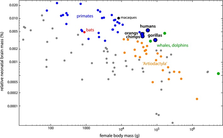 Figure 5