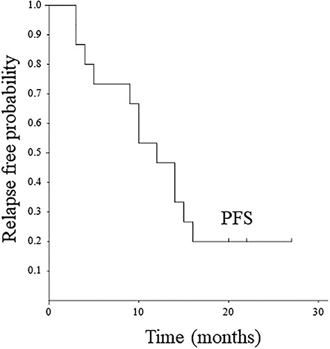 Fig. 3.