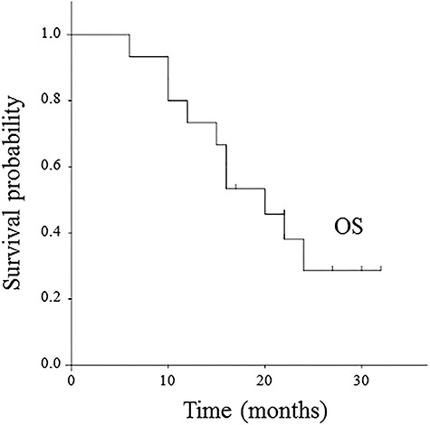 Fig. 4.