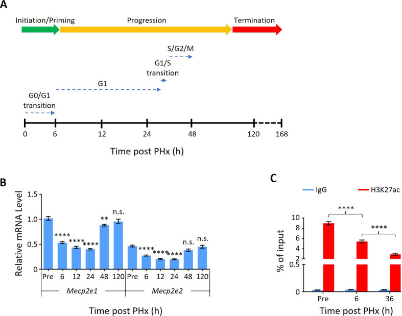 Figure 1—figure supplement 1.