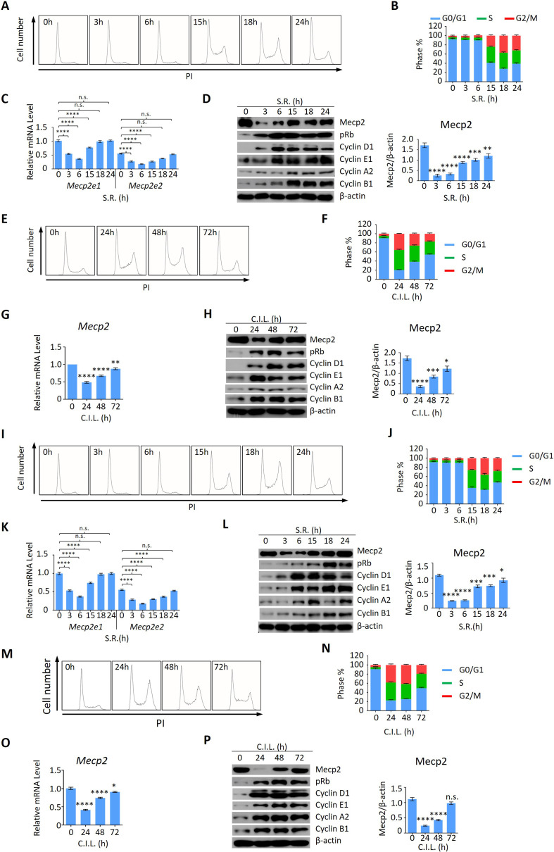 Figure 3—figure supplement 1.