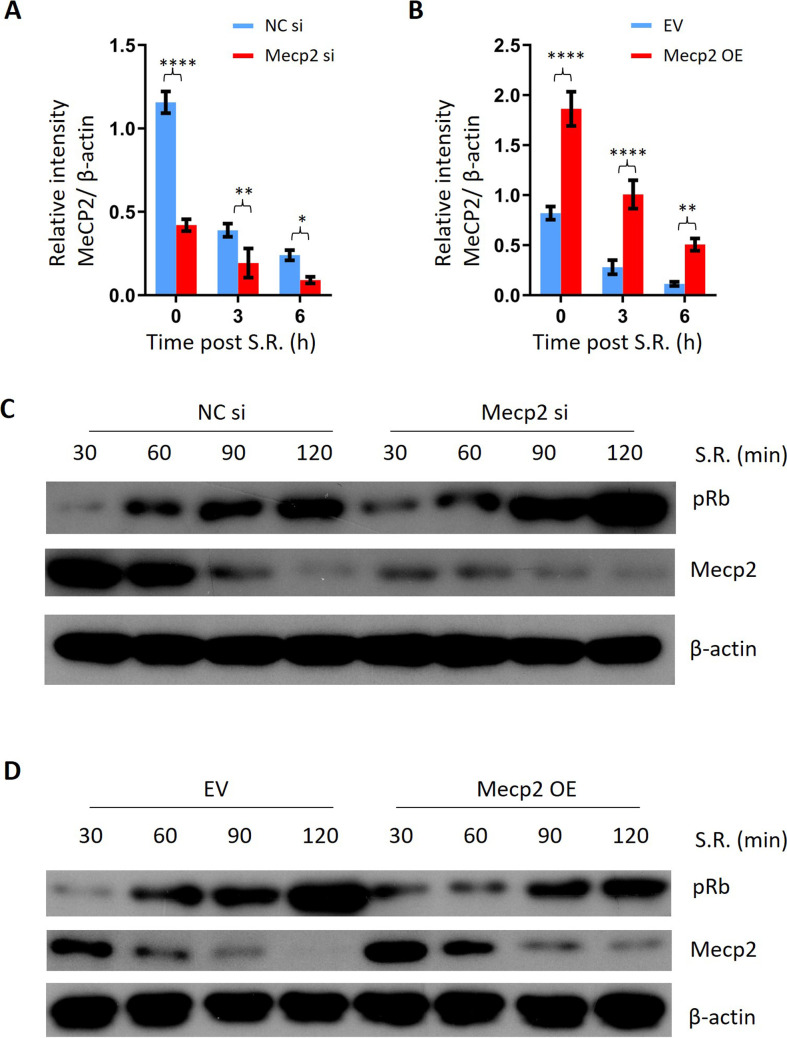 Figure 4—figure supplement 1.