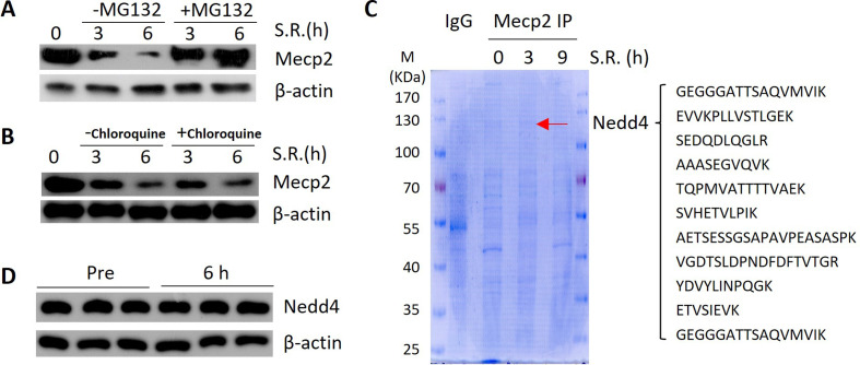 Figure 5—figure supplement 1.