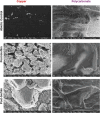 Fig. 10