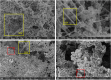Fig. 9