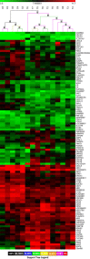 Fig. 1