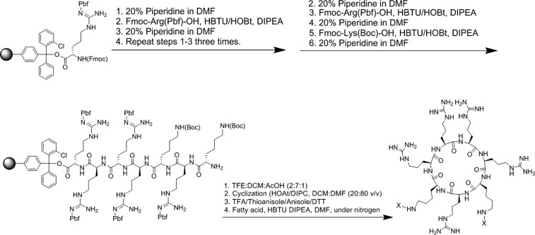 Scheme 2