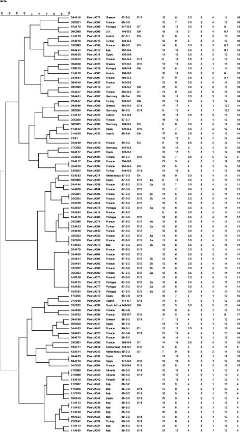 FIG. 2.