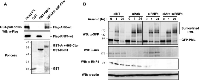 Fig 8