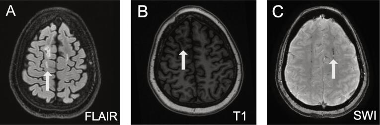 Supplementary Fig. 2