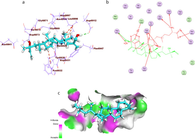 Figure 5