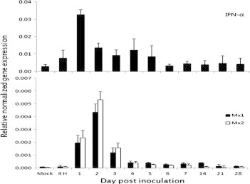 Figure 6