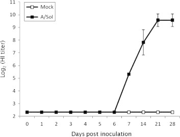 Figure 5