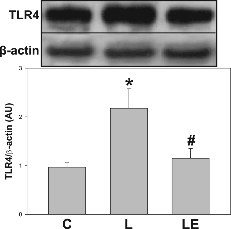 Fig. 4.