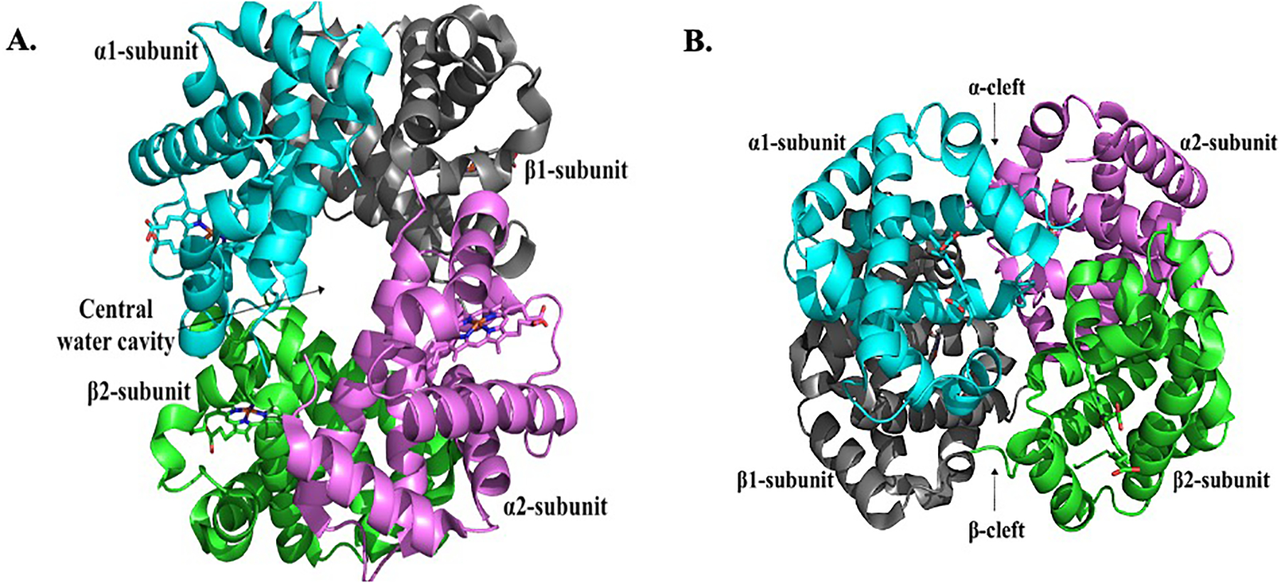 Figure 2.