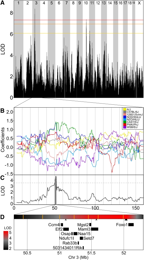 Figure 6 