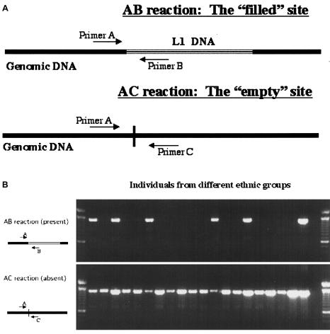 Figure  6