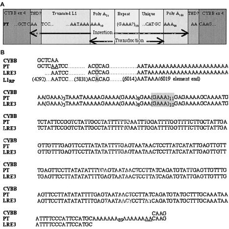 Figure  2