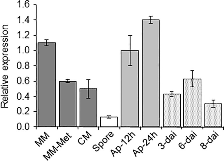 Fig 3