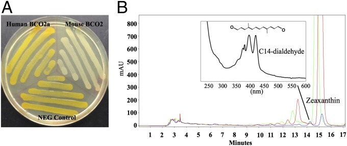 Fig. 3.