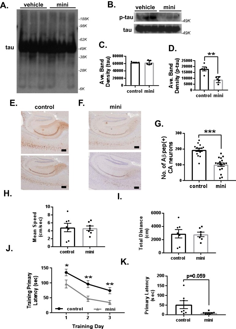 Figure 10.