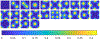 Fig. 12.