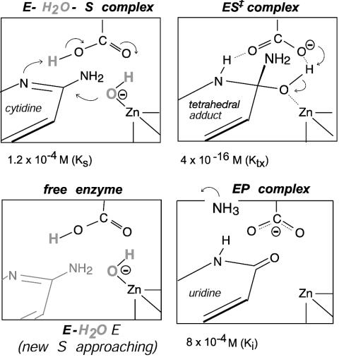 Scheme 1.