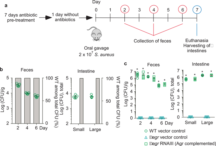 Figure 2 |