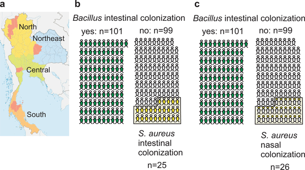 Figure 1 |