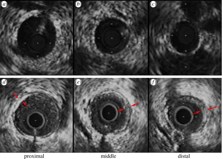 Figure 1.