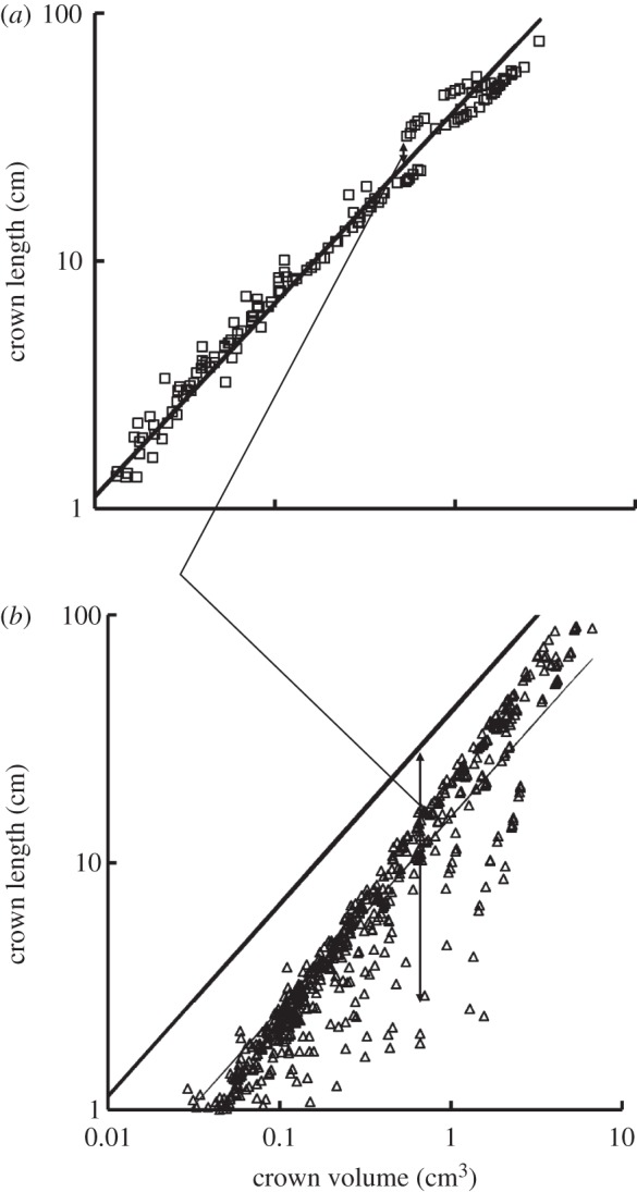 Figure 5.