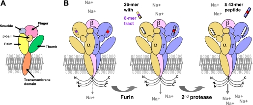 FIGURE 2.