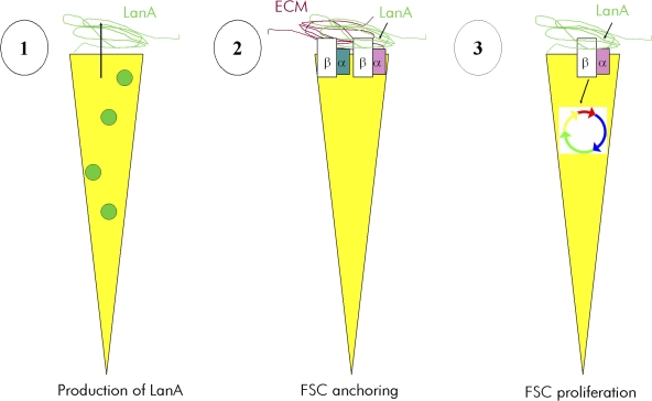 Figure 9.