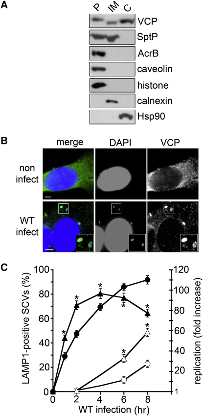 Figure 4