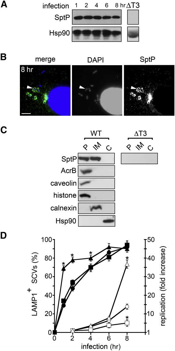 Figure 1