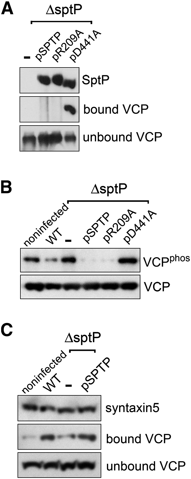 Figure 5