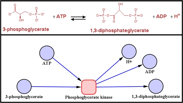 Fig. 3