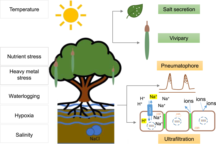 Figure 2