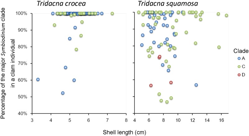 Zooxanthellal genetic varieties in giant clams are partially determined ...