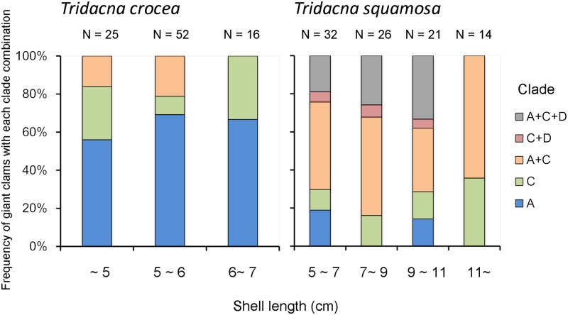 Zooxanthellal genetic varieties in giant clams are partially determined ...