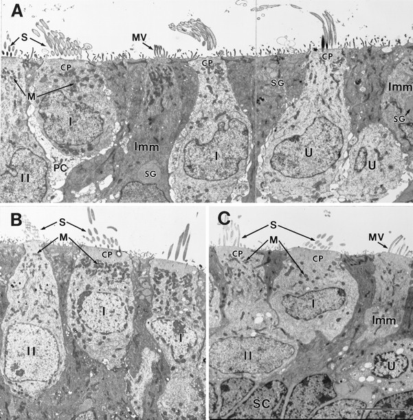 Fig. 8.