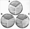 FIG. 4.