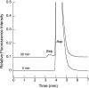 FIG. 2.